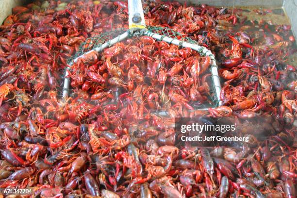 Boiled crawfish at Seafood Express.