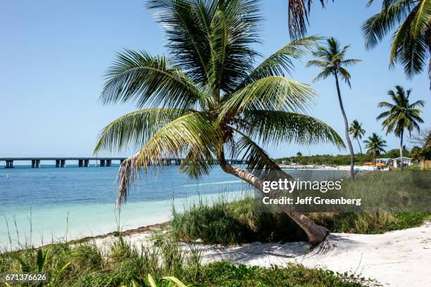 The beach at Bahia Honda State Park.