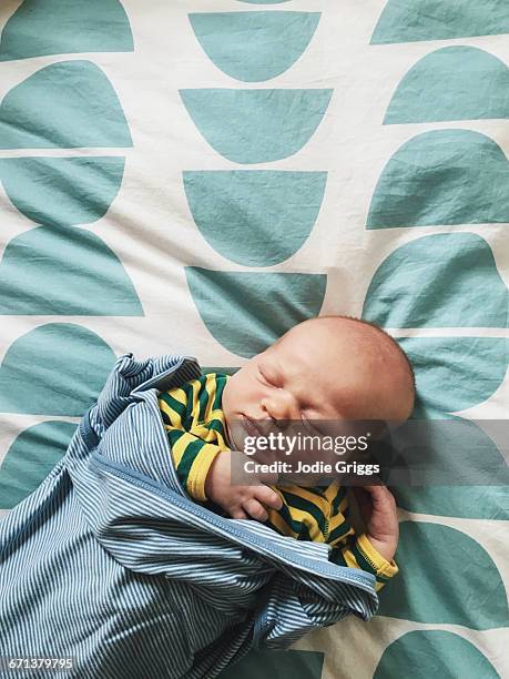 infant sleeping peacefully on a bed - bruny island stock pictures, royalty-free photos & images