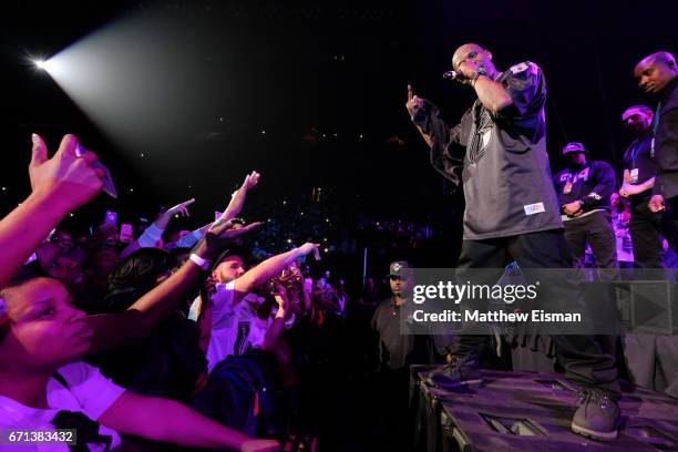 119 Ruff Ryder Stock Photos, High-Res Pictures, and Images - Getty Images