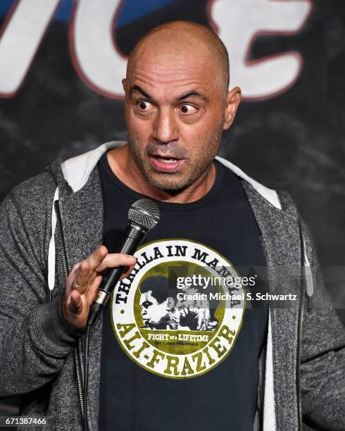 Joe Rogan April Fools 1,518 Joe Rogan Photos Stock Photos, High-Res Pictures, and Images ...