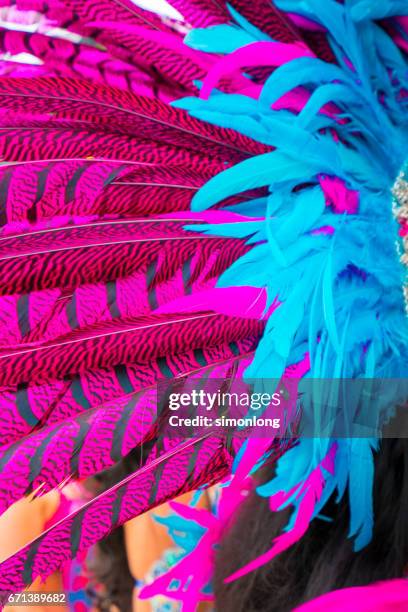 colorful feather - lateinamerikanischer-tanz stock-fotos und bilder