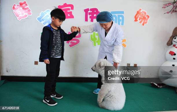 Polar bear cub "Irina" meets visitors at Ocean Aquarium of Penglai on April 22, 2017 in Yantai, Shandong Province of China. Irina was born to Peng...