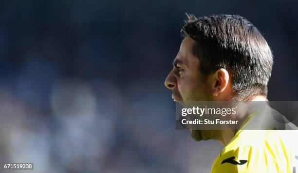 Swansea goalkeeper Lukasz Fabianski celebrates the second goal during the Premier League match between Swansea City and Stoke City at Liberty Stadium...