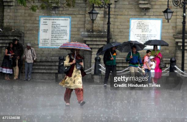 People walking with umbrellas during the rainfall at Ridge, on April 22, 2017 in Shimla, India. The minimum temperature of Shimla was 15.6 degrees...
