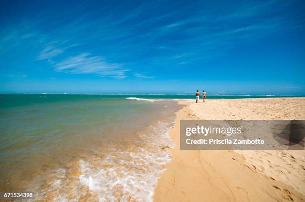 couple walking on the beach. praia do gunga, alagoas, brazil - maceió stock pictures, royalty-free photos & images