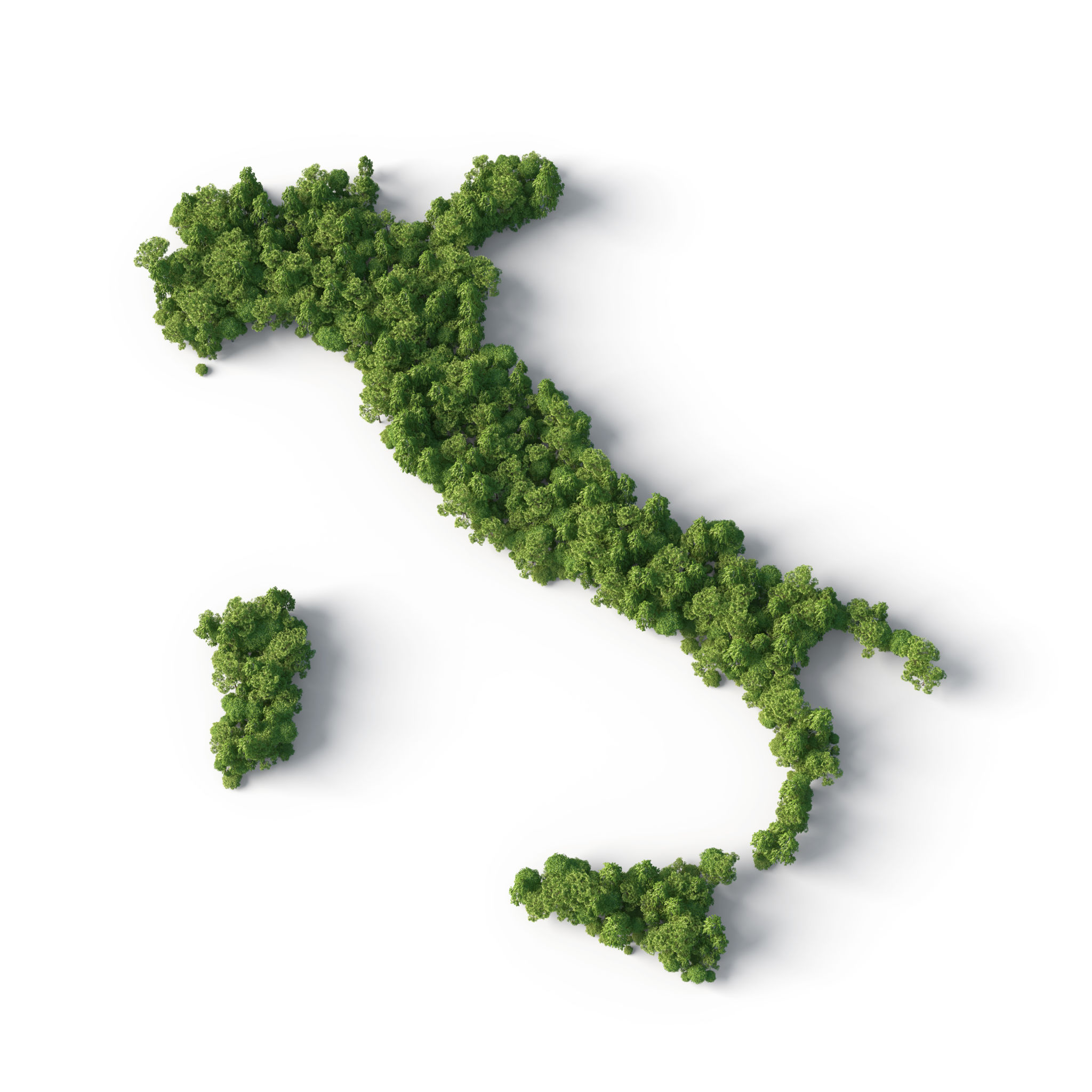 organic certification italy