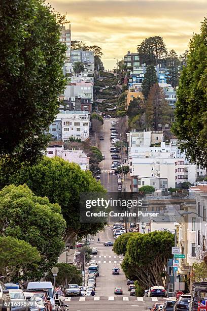 lombard street, san francisco - lombard street san francisco stock-fotos und bilder