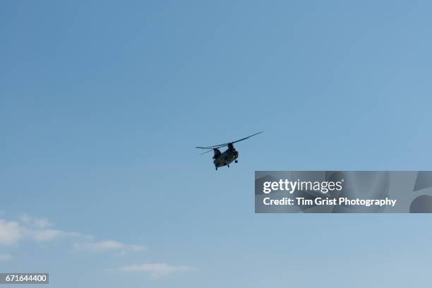 chinook helicopter flying - chinook dog ストックフォトと画像