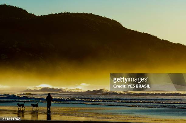 man and the sea - surfe stock pictures, royalty-free photos & images