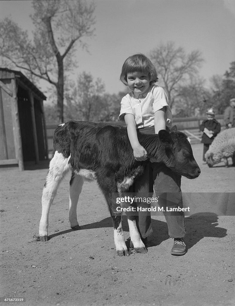  Girl Holding Calf And Smiling