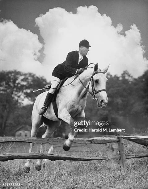 Man Riding Rocking Horse 250 Man In Suit Riding Horse Stock Photos, High-Res Pictures, and ...