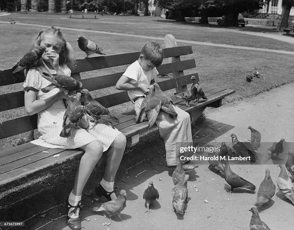  Girl And Boy Sitting In Garden And Feeding Pigeon