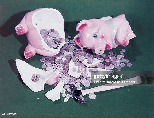 Broken Piggy Bank .