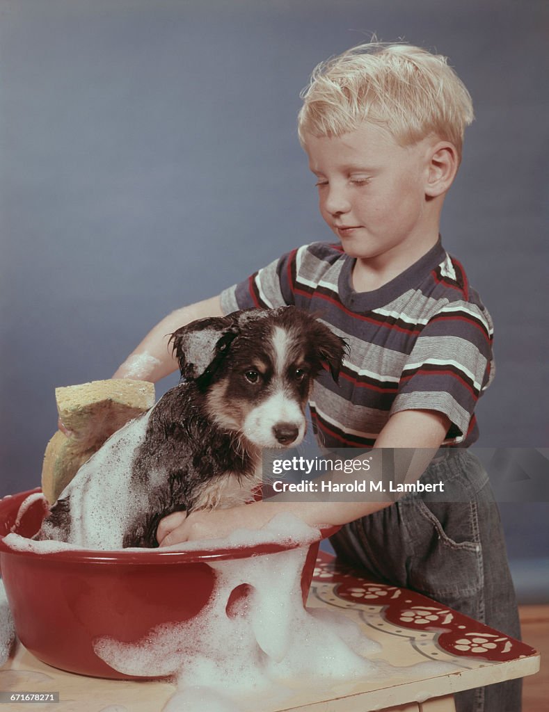 Boy Cleaning His Dog 