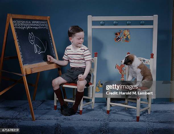 Boy Teaching Puppy .