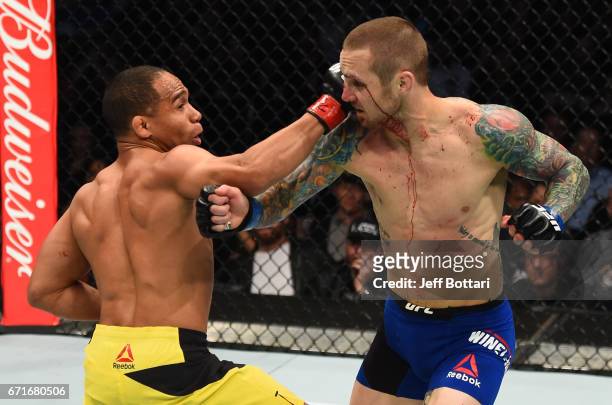 John Dodson punches Eddie Wineland in their bantamweight bout during the UFC Fight Night event at Bridgestone Arena on April 22, 2017 in Nashville,...