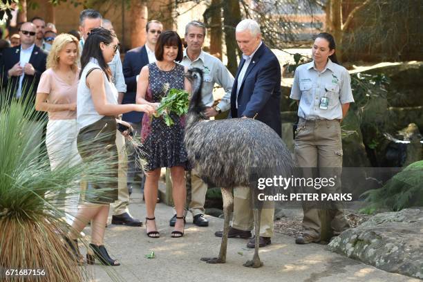 Vice President Mike Pence , his wife Karen and daughters Audrey and Charlotte look at an emu during a visit to Taronga Park Zoo in Sydney on April...