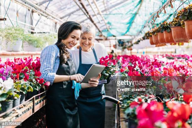 technology and flowers - family business generations stock pictures, royalty-free photos & images