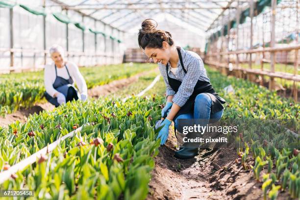 family business - family flowers stock pictures, royalty-free photos & images