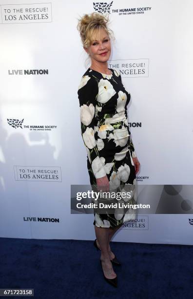 Actress Melanie Griffith attends the Humane Society of the United States' Annual To The Rescue! Los Angeles Benefit at Paramount Studios on April 22,...