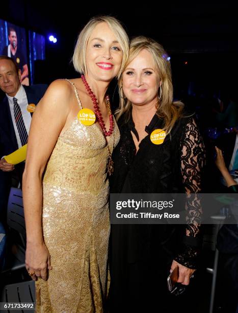 Actress Sharon Stone and Kelly Stone attend Lupus LA's Orange Ball: Rocket to a Cure at the California Science Center on April 22, 2017 in Los...