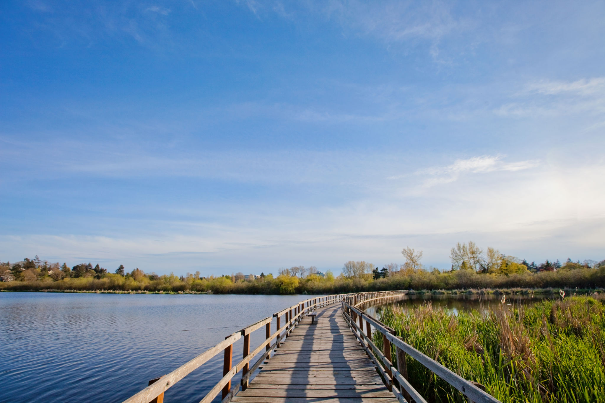 wetland london