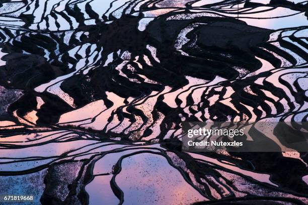 ancient rice terraces, yuanyang, yunnan, china - yuanyang stockfoto's en -beelden