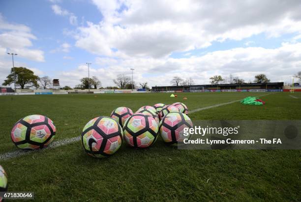 The pitch is set up before the match between Birmingham City and Sunderland Ladies in The WSL Spring Series at The Automated Technology Group Stadium...