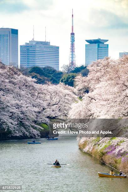 tokyo spring - 遠近法 stock pictures, royalty-free photos & images