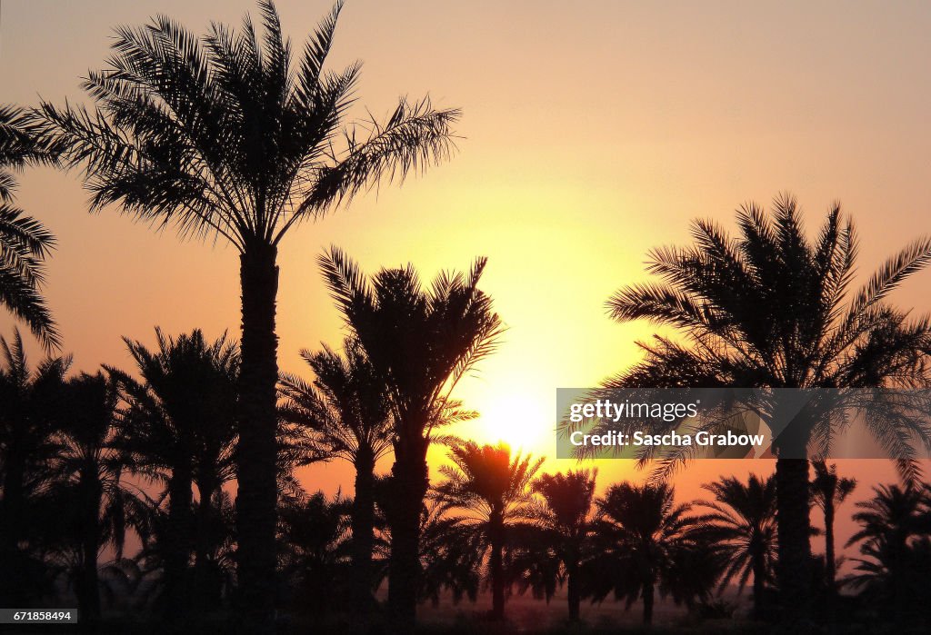 Abu Dhabi Airport Sunset