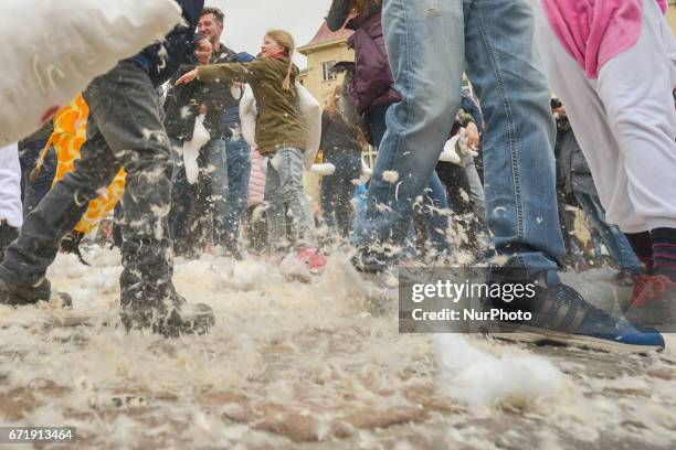 The third charity international pillows fight in Krakow. This year's goal is to collect funds and gifts for pets in the charge of the Krakow Society...