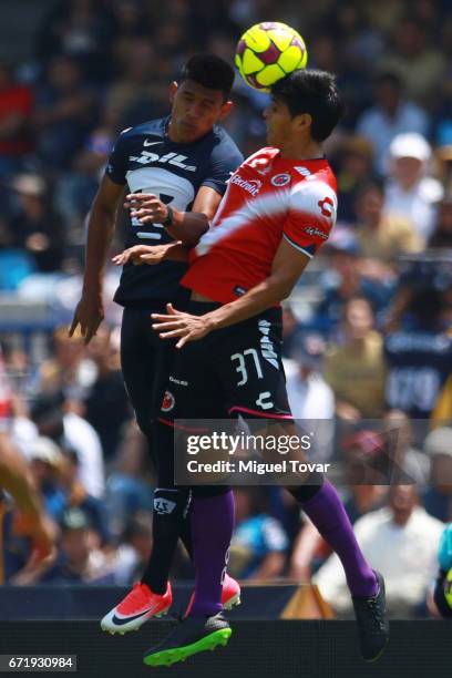 Jesus Gallardo of Pumas fights for the ball with Miguel Herrera of Veracruz during the 15th round match between Pumas UNAM and Veracruz as part of...