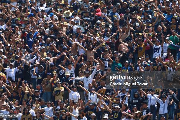 Fans of Pumas cheer for their team during the 15th round match between Pumas UNAM and Veracruz as part of the Torneo Clausura 2017 Liga MX at...