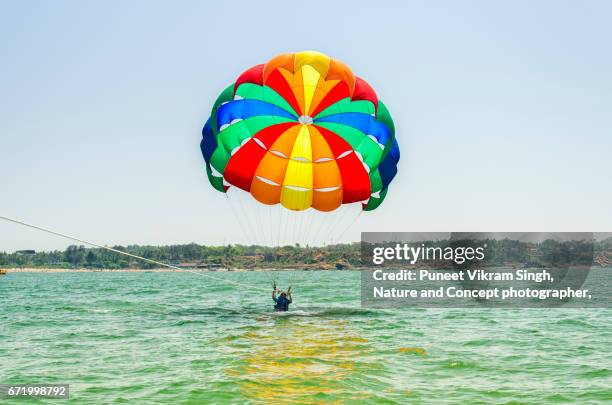 parasailing - arabian sea stock pictures, royalty-free photos & images