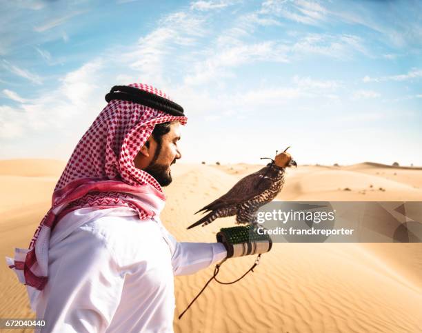 sheik med falcon i öknen - falk bildbanksfoton och bilder