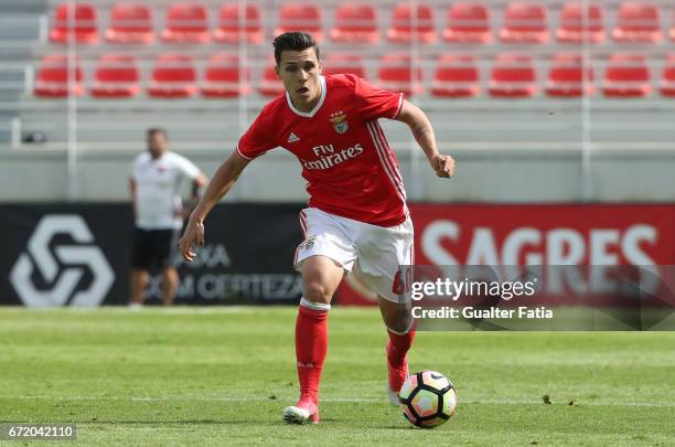 Pedro Amaral of SL Benfica B in action during the Segunda Liga match between SL Benfica B and FC Porto B at Caixa Futebol Campus on April 23, 2017 in...