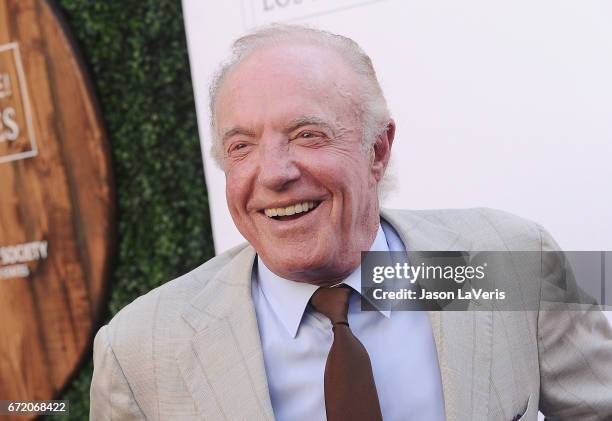 Actor James Caan attends Humane Society of The United States' annual To The Rescue! Los Angeles benefit at Paramount Studios on April 22, 2017 in...