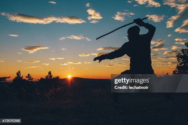 jovem formação artes marciais na natureza - ninja - fotografias e filmes do acervo