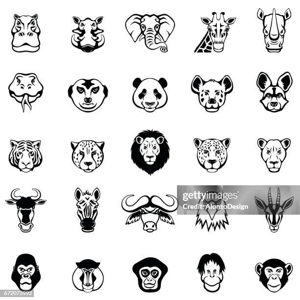 ilustraciones, imágenes clip art, dibujos animados e iconos de stock de caras de animales africanos - gorila