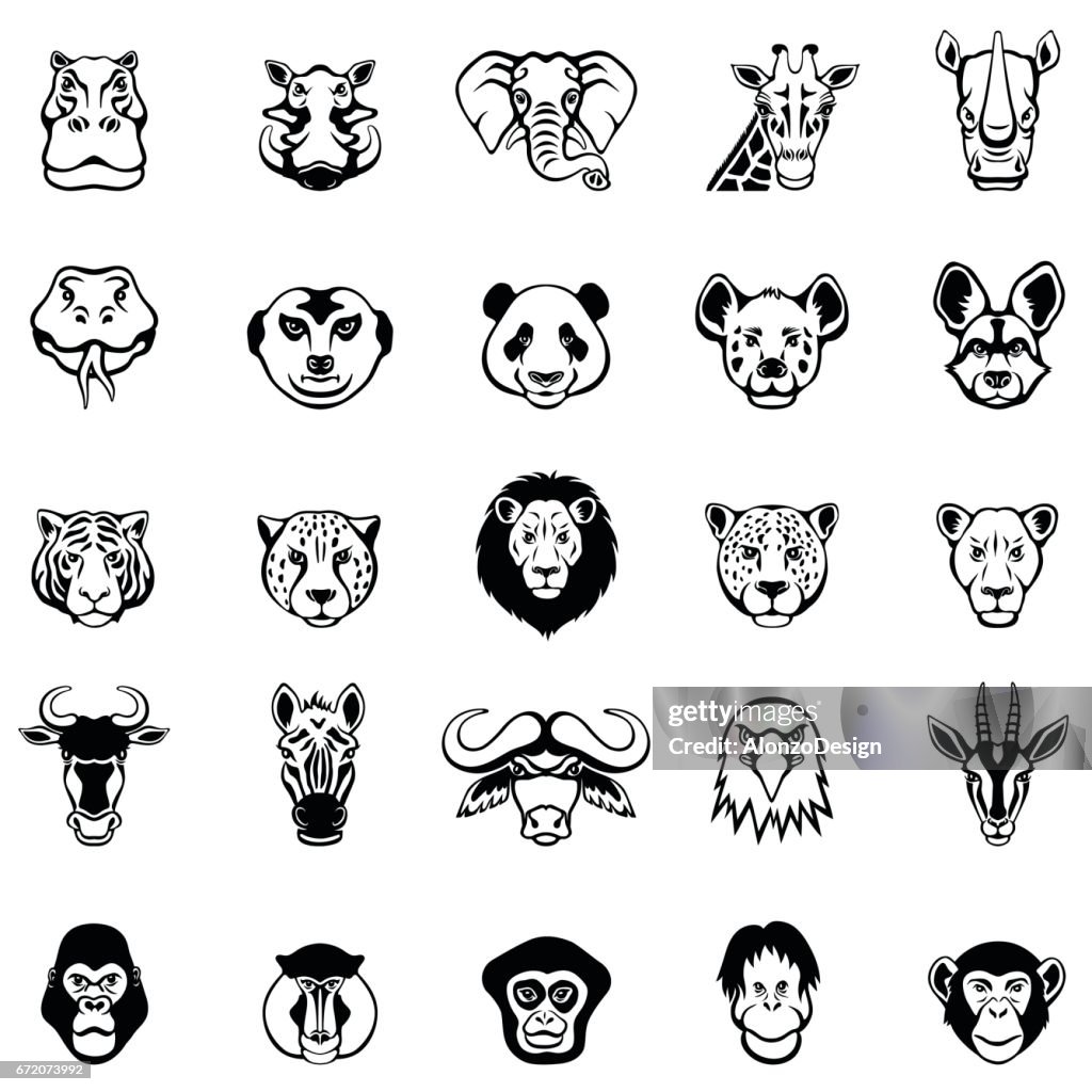 Volti di animali africani