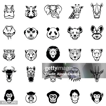 African Animal Faces African Animal Faces