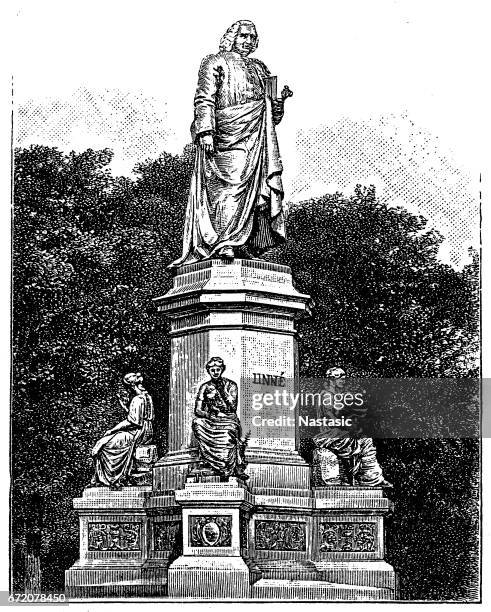 carl linnaeus monument in stockholm, sweden - stockholm city stock illustrations