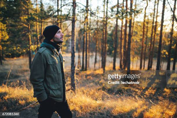 junger mann zu fuß in den wunderschönen wald im freien - naturwald stock-fotos und bilder