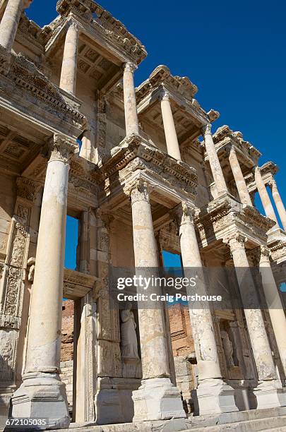 Celcus Celcus Photos and Premium High Res Pictures - Getty Images