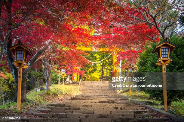 japanese garden in autumn - helgedom bildbanksfoton och bilder
