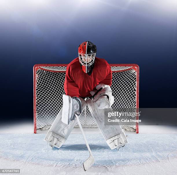 portrait determined hockey goalie protecting goal net on ice - youth hockey stock pictures, royalty-free photos & images