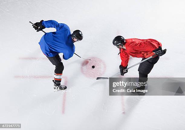 hockey opponents in opening face off - hockey rink stock pictures, royalty-free photos & images