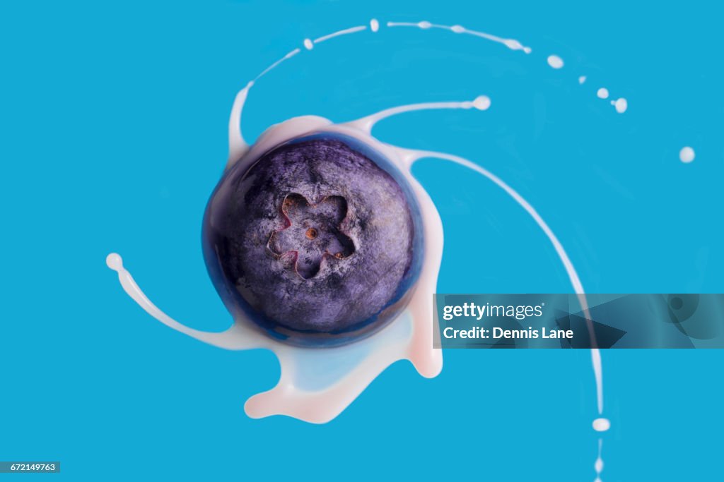 Close up of blueberry spinning with milk