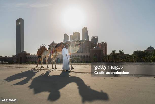 middle eastern man walking camels near city - abu dhabi beach stock-fotos und bilder